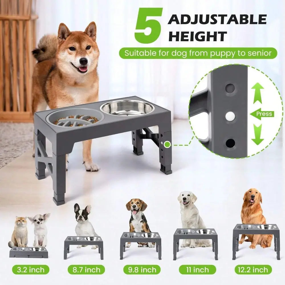 Raised Dog Bowl Stand With 2 Stainless Steel Bowls