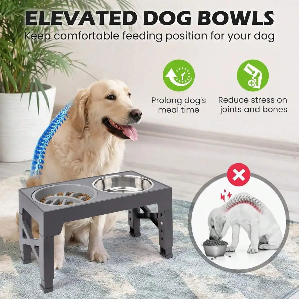 Raised Dog Bowl Stand With 2 Stainless Steel Bowls