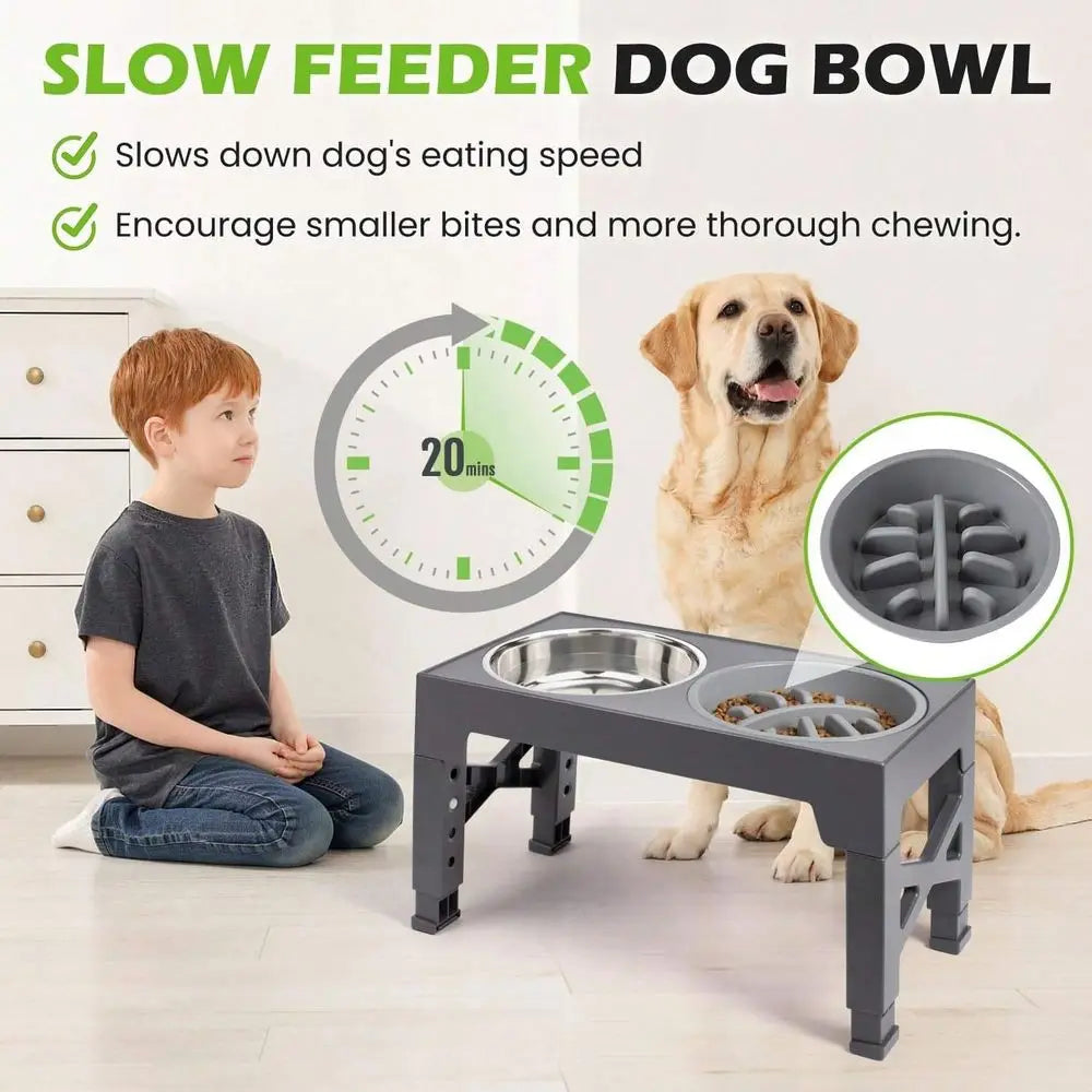 Raised Dog Bowl Stand With 2 Stainless Steel Bowls
