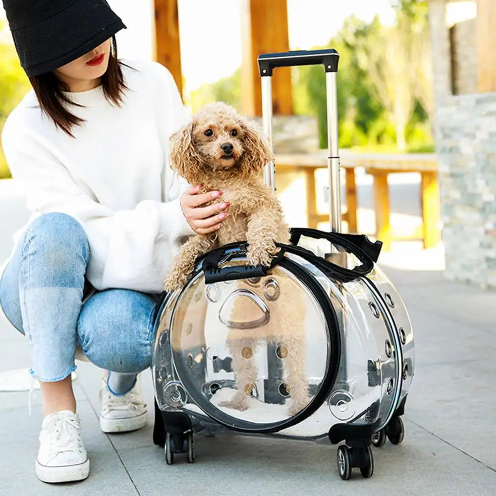 Portable Pet Trolley Case With Ventilation Holes And Silent Wheels For Cats